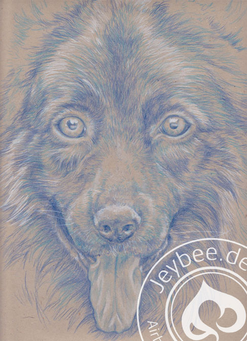 Der Wolf im Hund