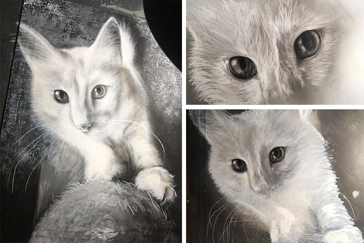Delight - Türkisch Angora